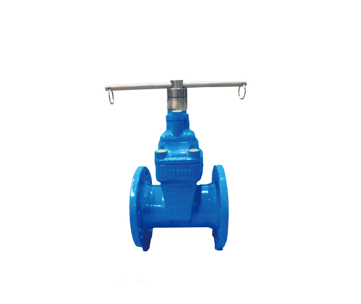 Resilient Gate Valve With Magnetic Lock(TH005)