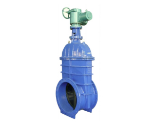 Big Size Resilient Gate Valve(TH007)