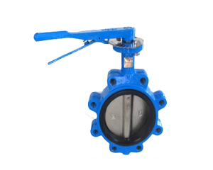 Lug Type Butterfly Valve(TH042)